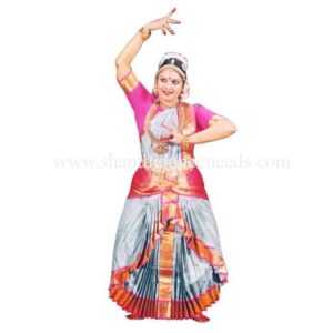 Bharatanatyam Dress Skirt Costume