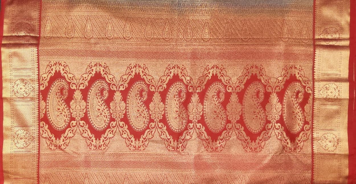 Checked Margam Saree close-up, border detail, dance practice saree, margam saree.
