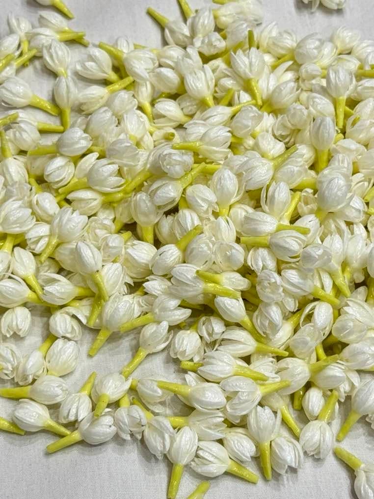 Bloomed Jasmine artificial jasmine flower garland, styled on hair, wedding use