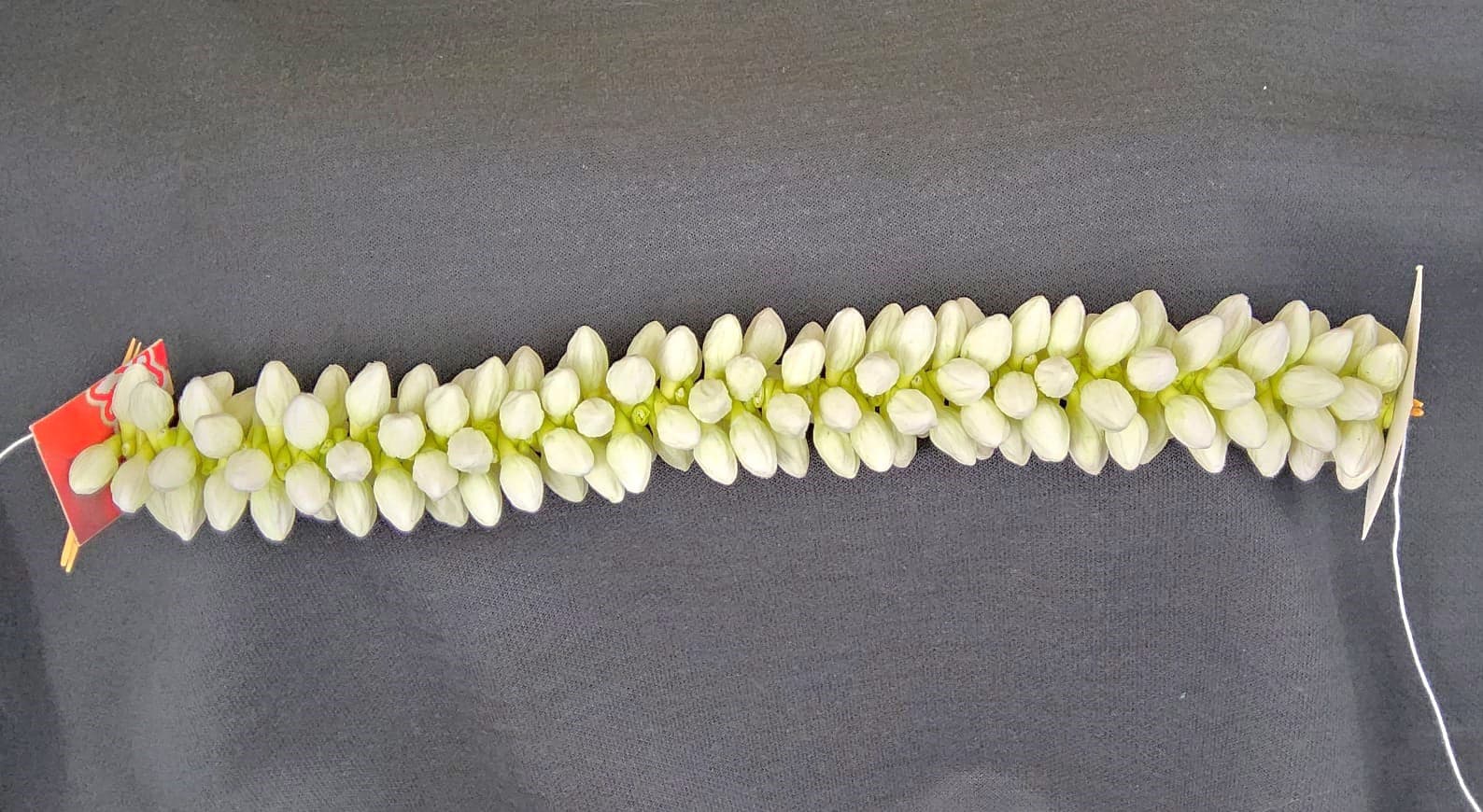 Realistic Green Jasmine Hair Accessory for Bharatnatyam, multiple strands.