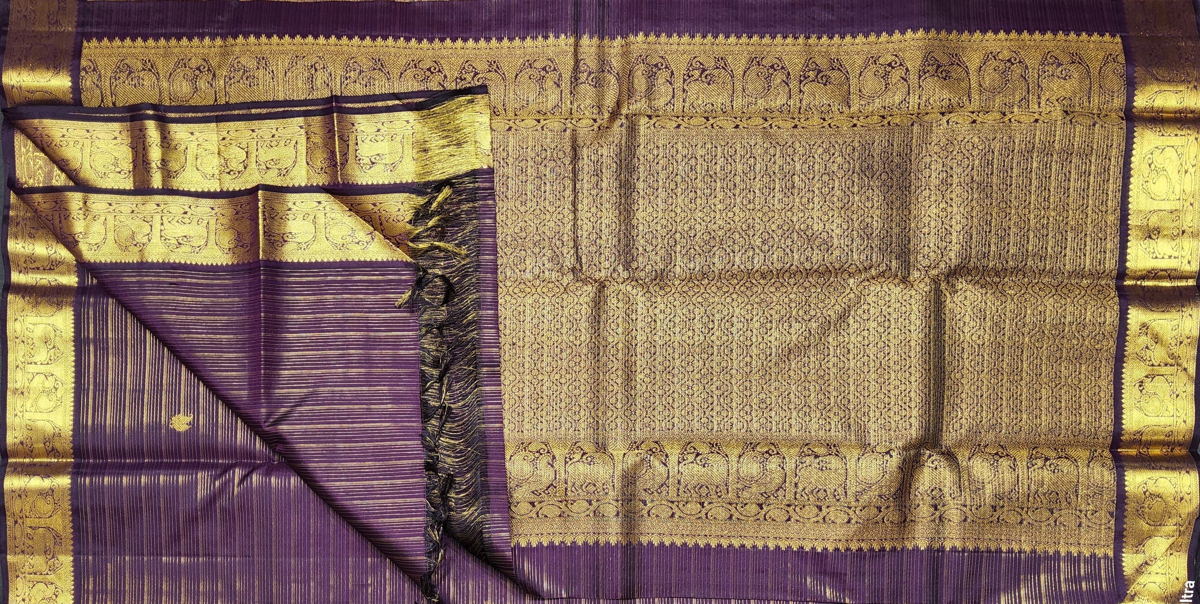 Kanchipuram authentic silk saree detail, gold zari pallu. Ideal bharatanatyam practice saree.