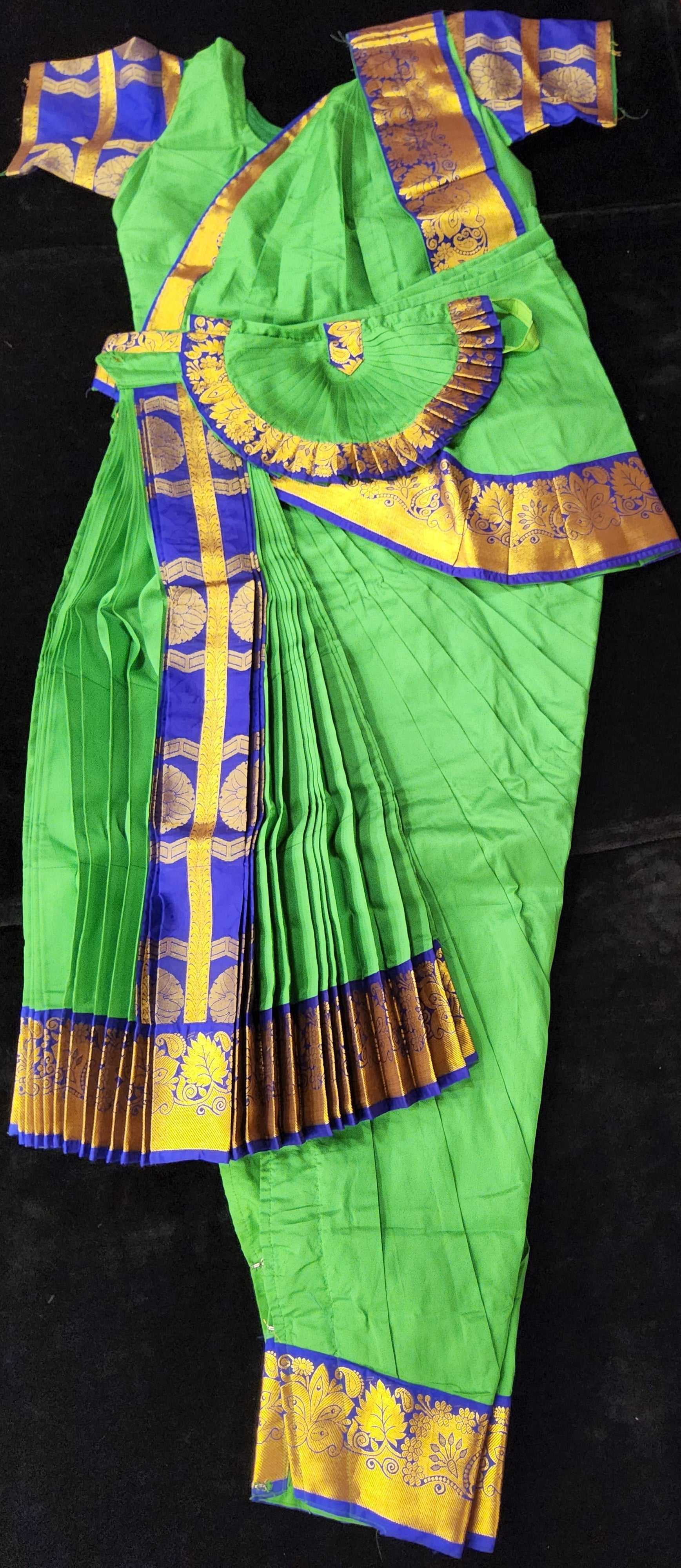 Bharatanatyam Raw Silk Lux Green at best price in Thrissur by Kalyanram  Chamayam Dance Collections | ID: 13468456130
