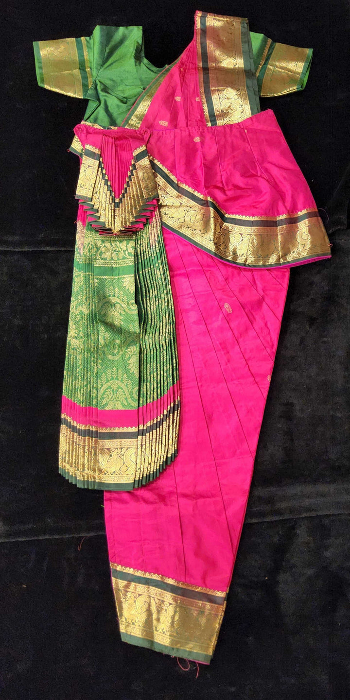 Professional Bharatnatyam Dress
