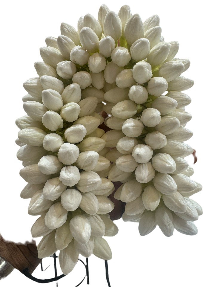 Bharatanatyam flowers