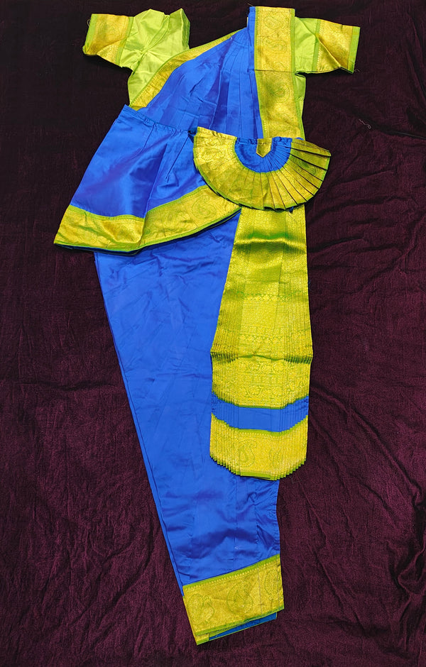Blue with Sneha Green | Readymade costume | RDC2 | SSB