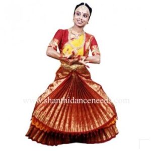Skirt Model - Kalkeshtra Style for Bharatnatyam |  bharatanatyam costume