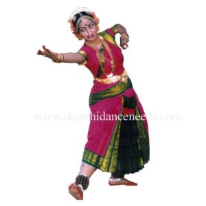 Skirt Model Thalapil Fan | Bharatnatyam | Dance Costumes